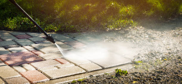 Best Animal Enclosure Cleaning  in Parchment, MI