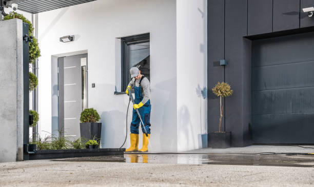 Best Roof Washing  in Parchment, MI